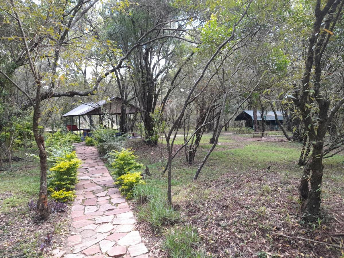 Leruk Maasai Mara Camp Hotell Sekenani Exteriör bild