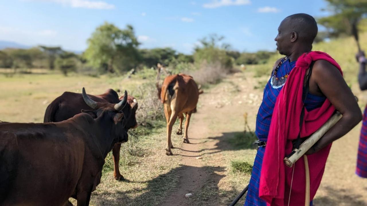 Leruk Maasai Mara Camp Hotell Sekenani Exteriör bild